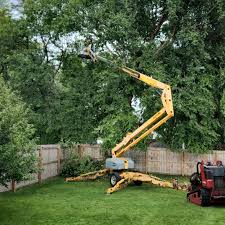 Best Lawn Mowing  in Genoa, IL